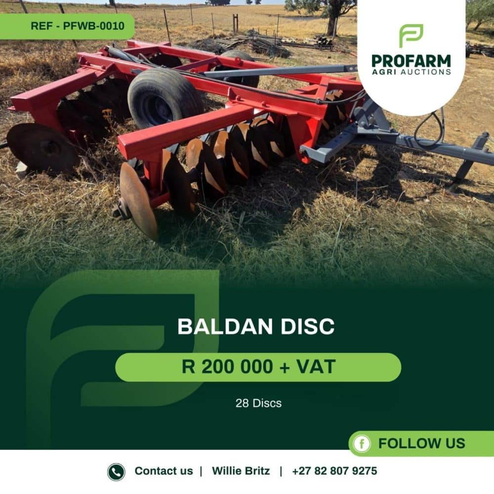 Baldan Disc