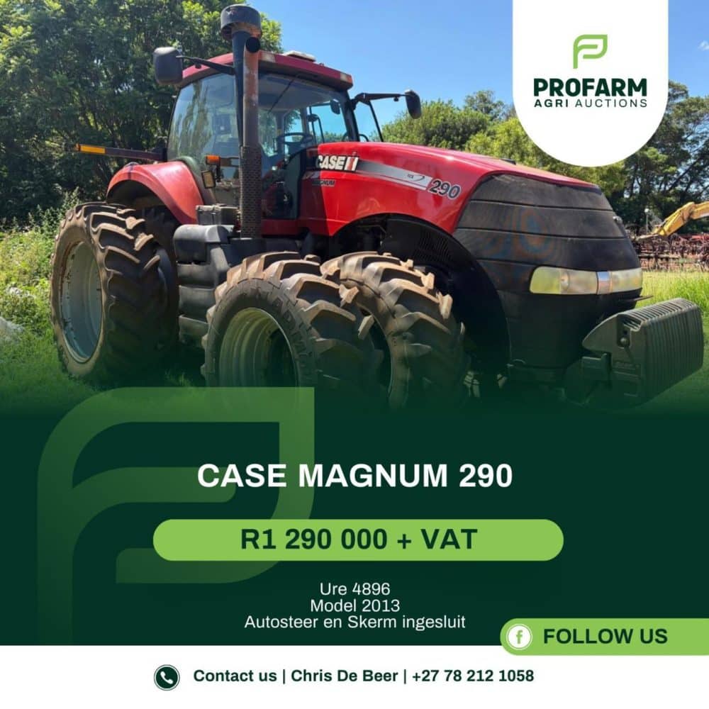 Case Magnum 290