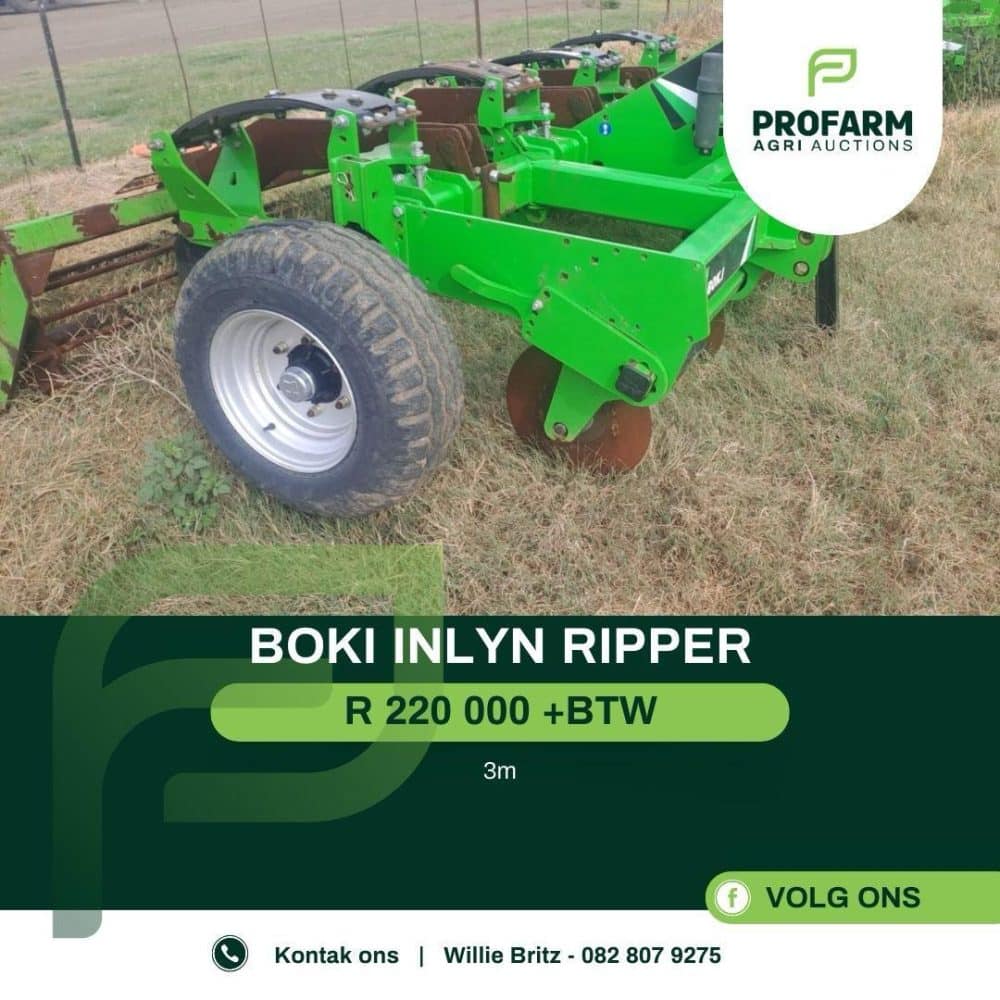 BOKI INLYN RIPPER