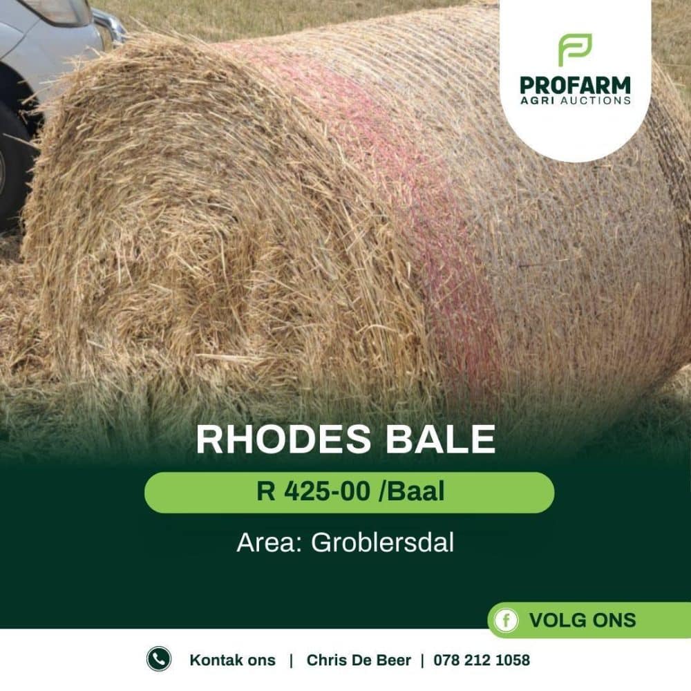 RHODES BALE