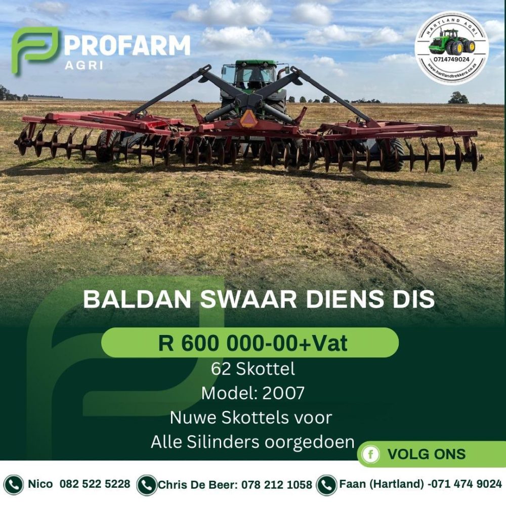 Baldan Heavy Duty Disc